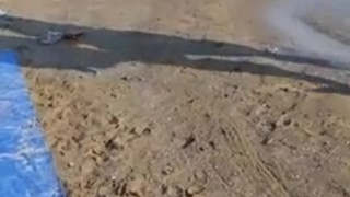 порно с блондинками
блондинки порно
порно блондинок
блондинка ххх
красивая блондинка секс
красивая блондинка порно
порно блондинка красивая
блондинку порно
ххх блондинки
порно блондинка
блондинки ххх
ххх с блондинкой
порно блондинкой
порно блондинки красивые
порнуха блондинки
смотреть порно блондинка
блондинки секс
порно красивых блондинок
порно блондинки русское
секс блондинки
порно красивая блондинка
секс блондинок
порно видео с блондинкой
blonde porno
порно блондинку
секс блондинка
секс блондинкой
блондинки порно видео
блондинки xxx
порно с блондой
порно с блондинки
блондинки эротика
блондинок ебут
блондинка порно
порно с красивыми блондинками
трахнуть блондинку
порно с блондинкой
блонды порно
секс с блондинками
блонд ххх
порно с блондином
блондинка секс
порно секс с блондинкой
сочная блондинка порно
красивые блондинки порно
трах с блондинкой
секс с блондинкой видео
трахают блондинок
блондинки в порно
молодая блондинка секс
красивое порно блондинки
голая блондинка
порно молодые блондинки
блондинки голые
порно блондинки молодые
порно сексуальная блондинка
блонди порно
порнуха с блондинкой
трах блондинок
blond porn
порно блондиночки
трахают блондинку
порно милая блондинка
порно с высокой блондинкой
красивое порно с блондинкой
блондинку трахают
порно блондинки красотки
порно сисястая блондинка
порно красивые блондинки
секс видео блондинка
сексуальная блондинка порно
секс порно блондинка
блондинка порно видео
молодые блондинки порно
порно сочная блондинка
порно с блондиночкой
шикарная блондинка порно
порно русское с блондинкой
порно с блонди
маленькая блондинка порно
порно с блондинкой русское
порно видео с блондинками
порно блондинка русская
секс порно блондинки
порно блонда
porno блондинка
блонд порно
шикарная блондинка секс
красивый секс с блондинками
эротика блондинка
порно видео блондинка
смотреть порно с красивыми блондинками
порно со стройными блондинками
секс с нежной блондинкой
эротика блондинок
русское порно с блондинками
видео порно блондинки
высокая блондинка порно
русская блондинка секс
секс блондинками
порно блондинок hd
порно юные блондинки
русские блондинки порно
порно с блондинкой молодой
porn blonde
блондиночка порно
красивый секс с блондинкой
блондинка в порно
трахнули блондинку
сочные блондинки порно
голые блондинки порно
красивые блондинки секс
порно с красоткой блондинкой
порно белобрысые
смотреть порно с блондинками
ебля блондинки
порно секс блондинка
сексуальная блондинка секс
порно с блондинками 365
порнуха блондинка
секс видео с блондинкой
порно русское блондинки
молодая блондинка порно
смотреть порно с блондинкой
русский секс с блондинкой
секс с красивыми блондинками
трах блондинку
секс красивые блондинки
секс сисястых блондинок
секс русские блондинки
ебля с блондинкой
красивое порно с блондинками
порно блондинка русское
блонда порно
эротика с блондинкой
красивые блондинки в порно
секс красивая блондинка
трахает молодую блондинку
секс с молодыми блондинками
порно блондинка минет
порно высокие блондинки
porn blondes
порно онлайн блондинка
секс с блондинкой домашнее
видео секс с блондинкой
секс с горячей блондинкой
порно блондинки русские
трах красивой блондинки
порно с сочной блондинкой
порно русской блондинки
порно молодых блондинок
порно юная блондинка
трахнул жопастую блондинку
юные блондинки порно
трахнул стройную блондинку
порно ролики с блондинками
порно блондинками
порно шикарная блондинка
порно стройные блондинки
порно блондинка домашнее
блонди секс
порно с белыми волосами
порно блондинки домашнее
порно с блондами
порно с очень красивыми блондинками
домашнее порно блондинка
оттрахал блондинку
смотреть порно блондинок
порно длинноногая блондинка
русское порно блондинка
порно блондинки 365
порно blonde
секс с блондином
очень красивая блондинка порно
порно блондинка молодая
секс с юной блондинкой
порно видео блондинок
порно 365 блондинка
трахает красивую блондинку
blonde xxx
porn blond
порно красотка блондинка
порно беловолосая
трахнул шикарную блондинку
жесткое порно блондинки
секс молодая блондинка
порно белобрысая
порно с фигуристой блондинкой
красивая голая блондинка
секс с блондинкой на кровати
блондинка эротика
секс с очаровательной блондинкой
блондинки порно актрисы
секс с загорелой блондинкой
порно с блондинкой анал
трахнул блондиночку
порно с загорелой блондинкой
секс с блондинкой русской
блондинка трах
как ебут блондинок
порно русские блондинки
жопастая блондинка порно
порно русская блондинка
